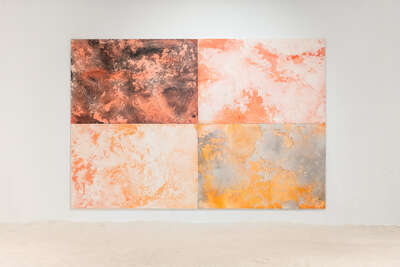 Keke vilabelda. common ground. cccc. low-1-2[14365]