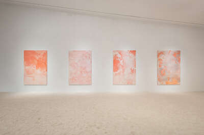 Keke vilabelda. common ground. cccc. low-5[14371]