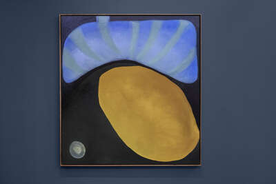 Sav 2026summer exhibitions othianaroffiel as 001 tg v3